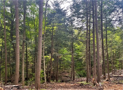 Meadows and woodlands - beautiful building lot in Florence NY near Mad River State Forest.