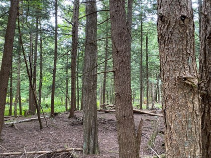 NY land for sale