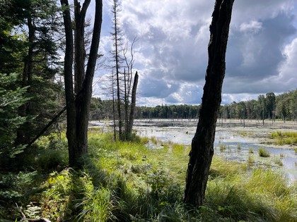 NY waterfront land for sale, land and camps, ny waterfront properties, ny lakefront land, christmas associates