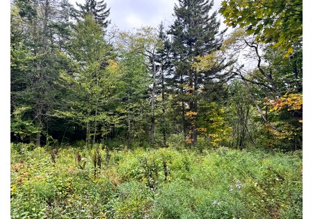 NY land for sale