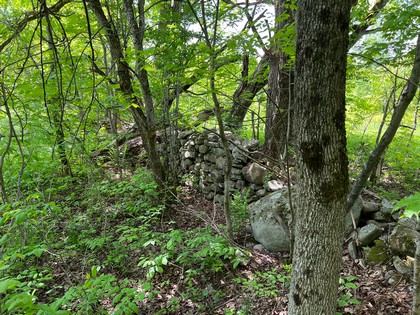 NY land for sale near Salmon River - Orwell, NY