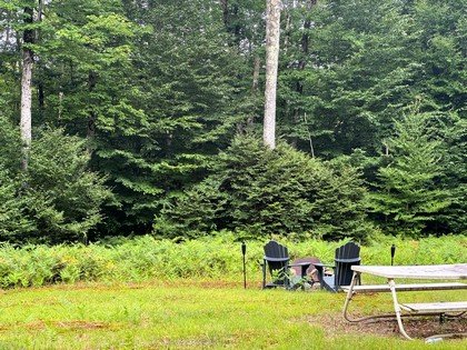 Tug Hill NY land for sale