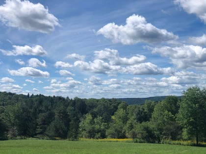 NY land for sale in Chenango County
