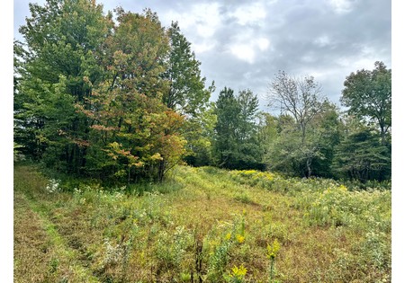 Tug Hill NY land for sale