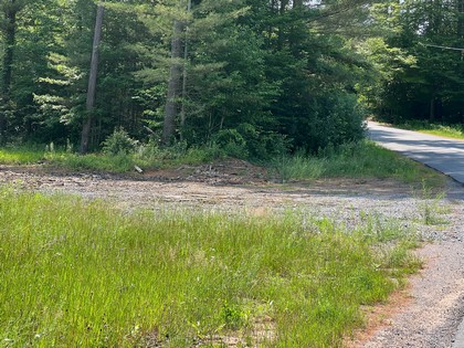 Adirondack land for sale