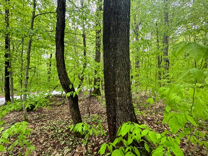 NY camps for sale