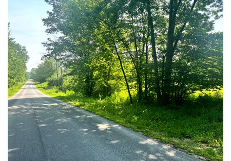 NY Salmon River area land sale