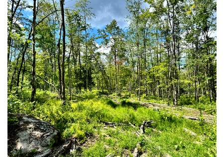 NY land for sale
