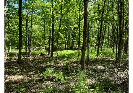 Land for sale near Oneida Lake NY