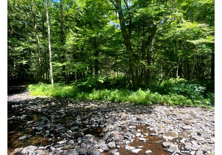 NY hunting land for sale
