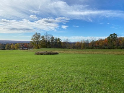 NY building lot for sale in Florence NY