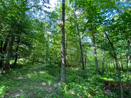 NY land for sale in Florence NY