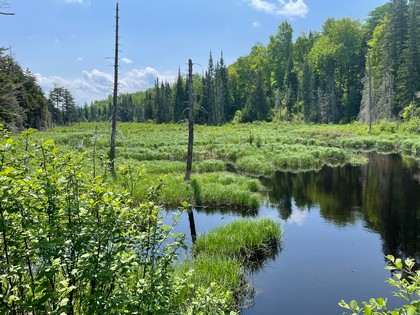 Adirondack land for sale NY