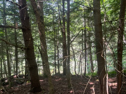 NY building lot land for sale