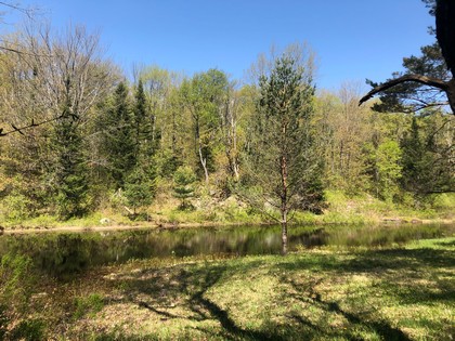 Western Adirondacks - NY camp for sale on 10 acres