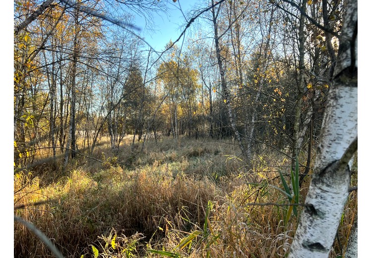 NY hunting camps for sale