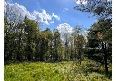 Tug Hill NY land for sale