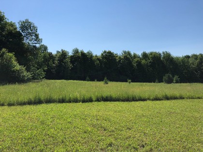 NY southern tier land for sale