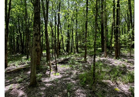 NY hunting land for sale