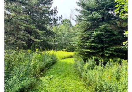 Finger Lakes NY land for sale