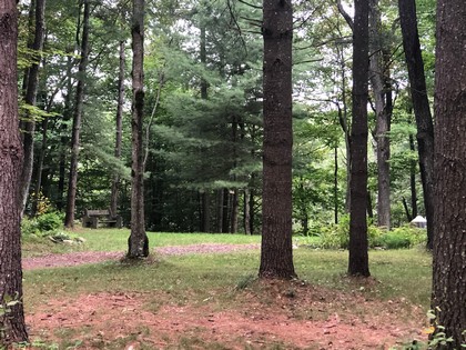 Adirondack camp for sale in Greig NY