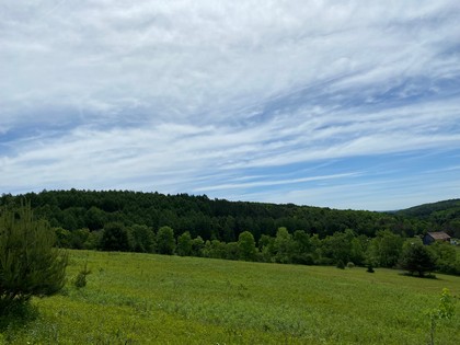 NY land for sale southern tier