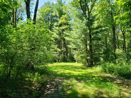 Camper and NY land for sale in Williamstown NY