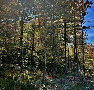 Adirondack land for sale