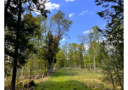 Tug Hill NY land for sale