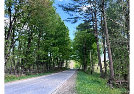 Land for sale in Tug Hill NY