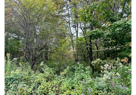 NY land for sale