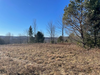 NY land sale southern tier