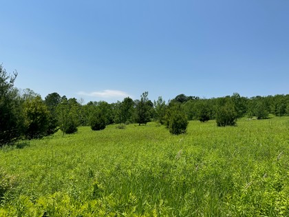 NY land for sale