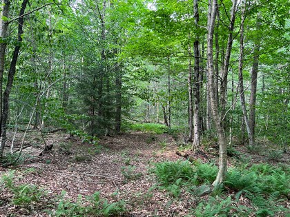 NY hunting land for sale