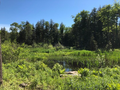 NY camp for sale in Camden NY
