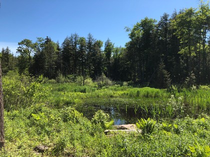 NY camp for sale in Camden NY