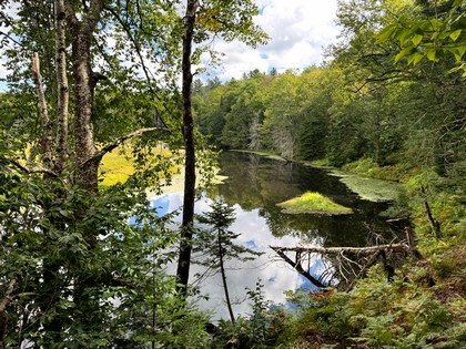 Adirondack riverfront land for sale