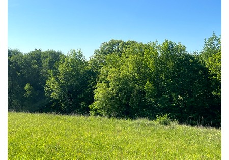 NY Southern Tier land for sale