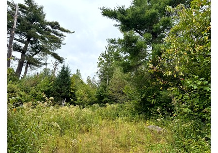 NY hunting land