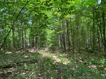 Adirondack NY land for sale