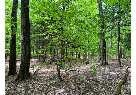 NY hunting land for sale