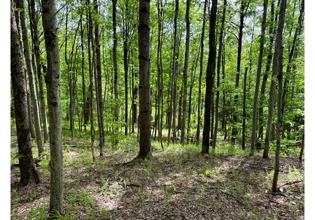 NY hunting land for sale