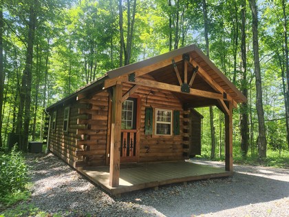 NY camps for sale - Salmon River area