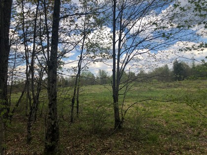 NY hunting land - Adirondacks