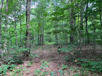 NY snowmobiling land for sale, land and snowmobile camps, ny properties, christmas associates