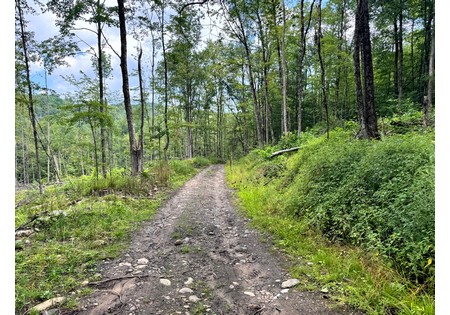 NY hunting land for sale