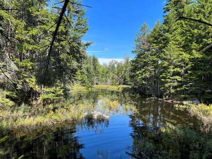 Adirondack land for sale