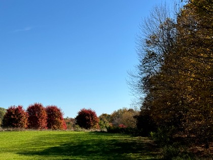 Chenango county NY land for sale