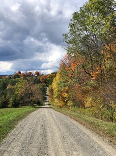 NY land for sale in Chenango County