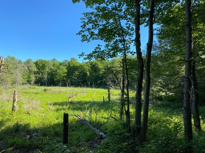 NY hunting and snowmobiling land for sale Orwell NY